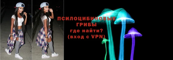 прущие грибы Магас