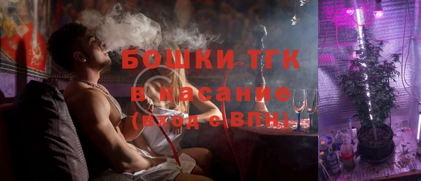 прущие грибы Магас
